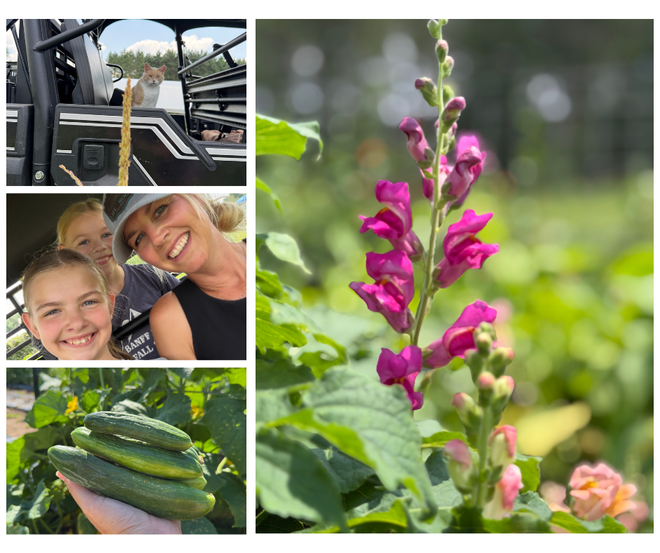 A Saturday in the Gardens