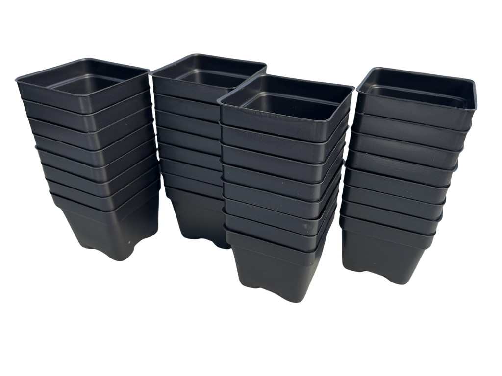 3" Pot Set - 32 Pots