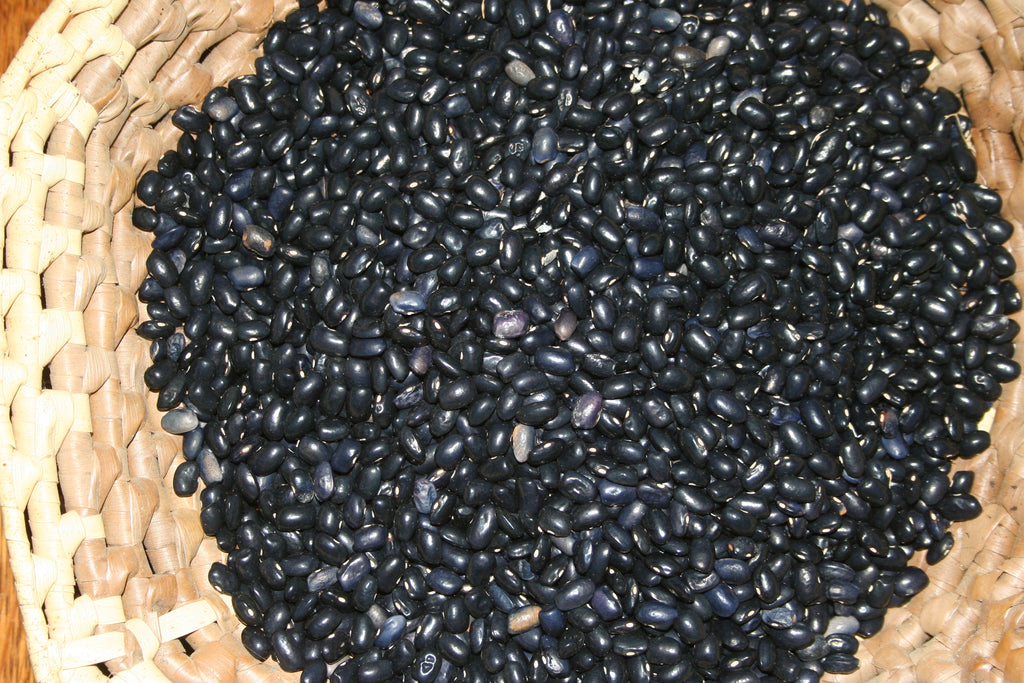 Blue Shackamaxon, Bean