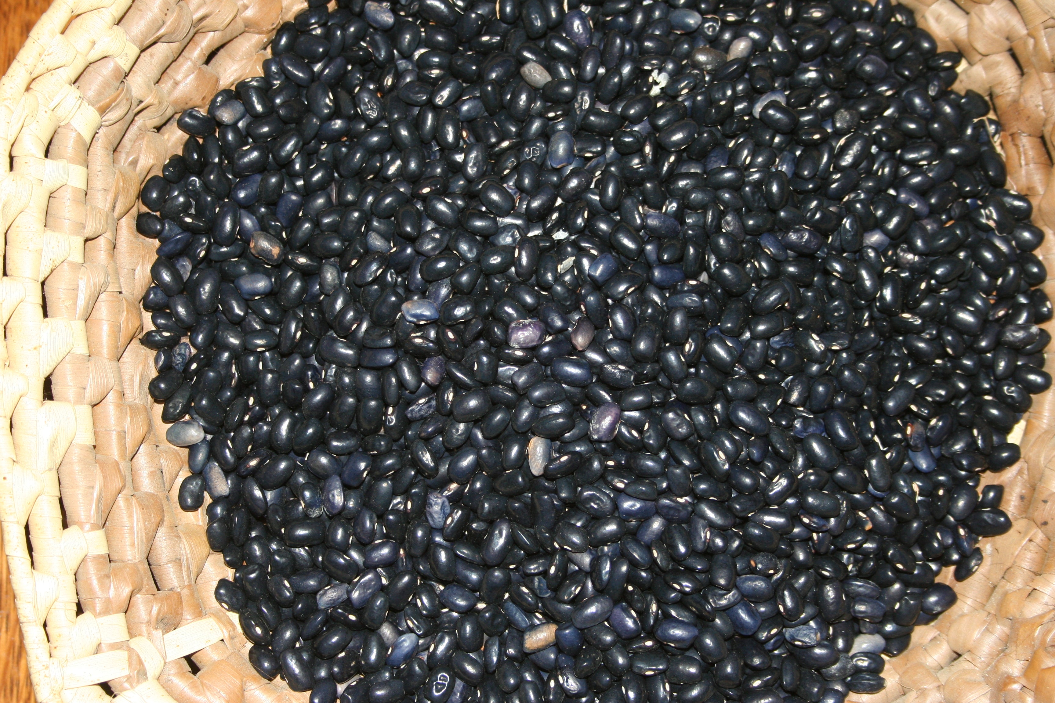 Blue Shackamaxon, Bean