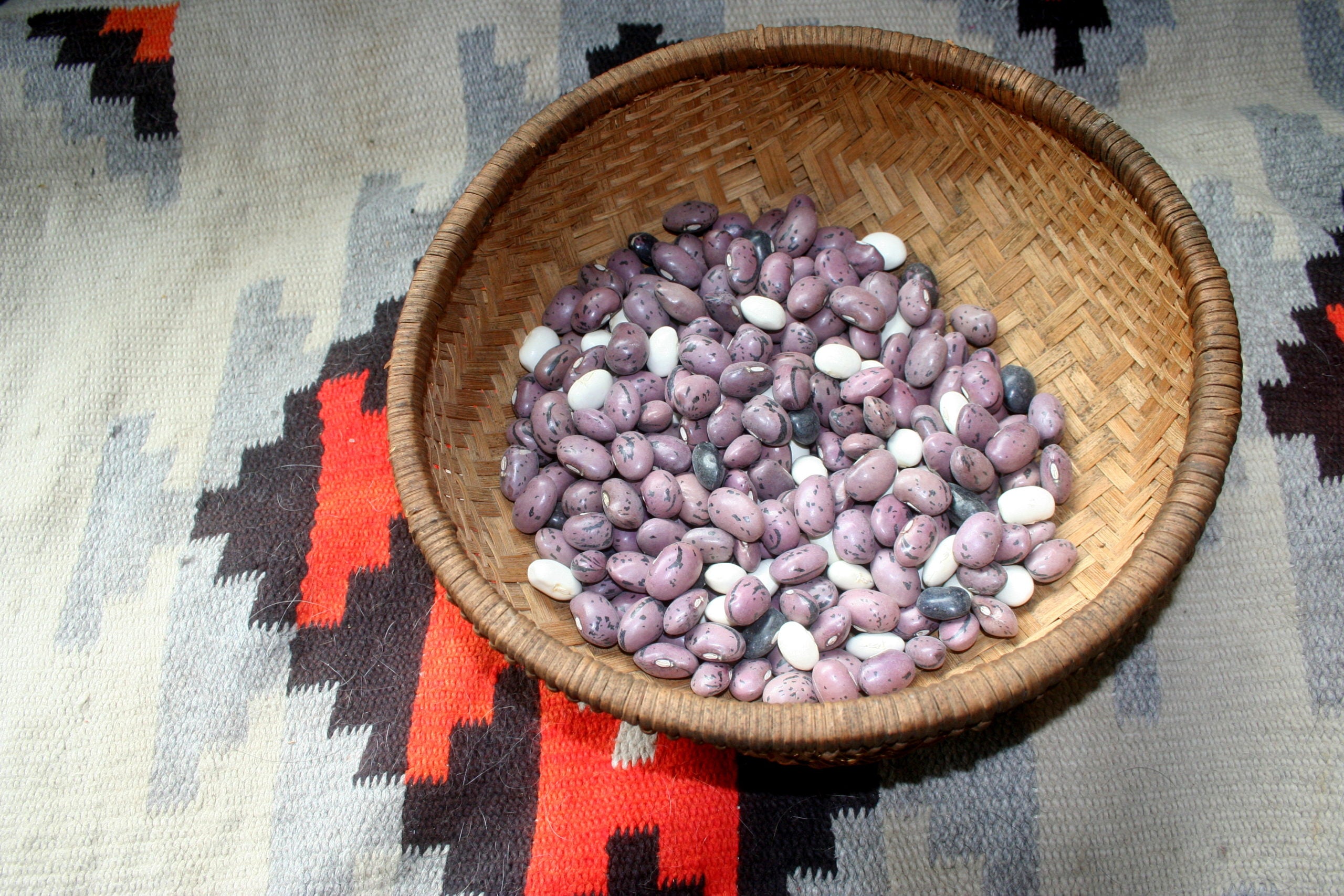 Fremont Culture, Bean