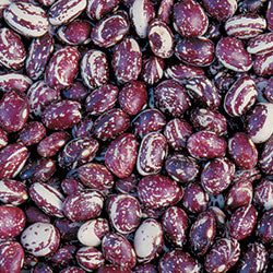 Good Mother Stallard, Bean