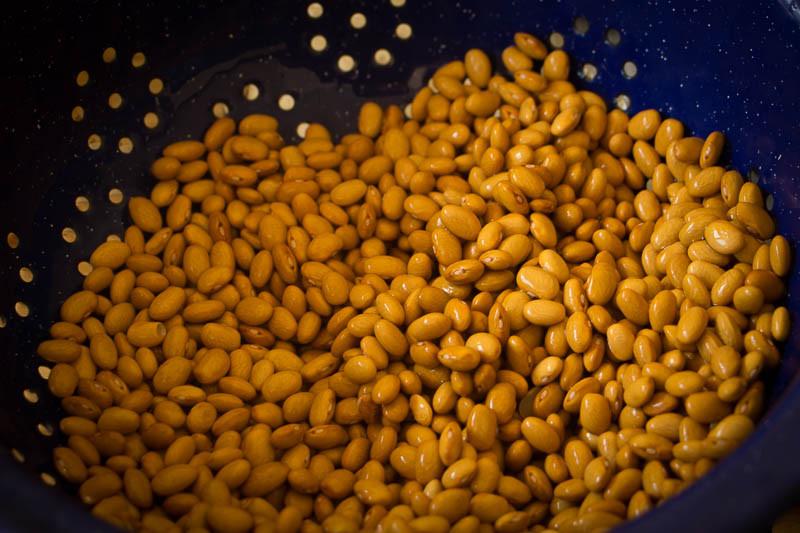 Indian Woman Yellow, Bean