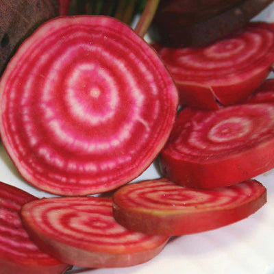 Chioggia, Beet