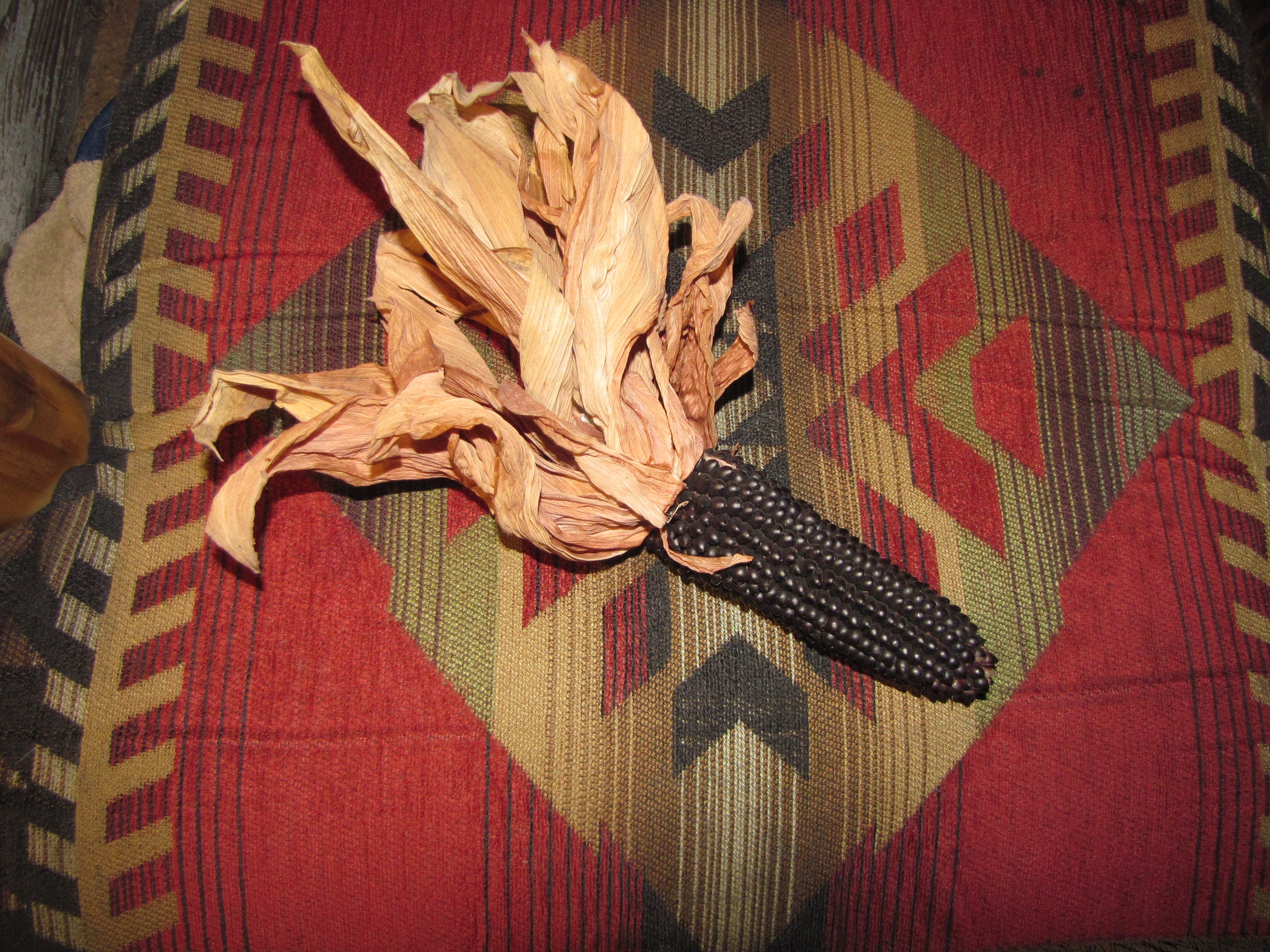 Dakota Black, Popcorn