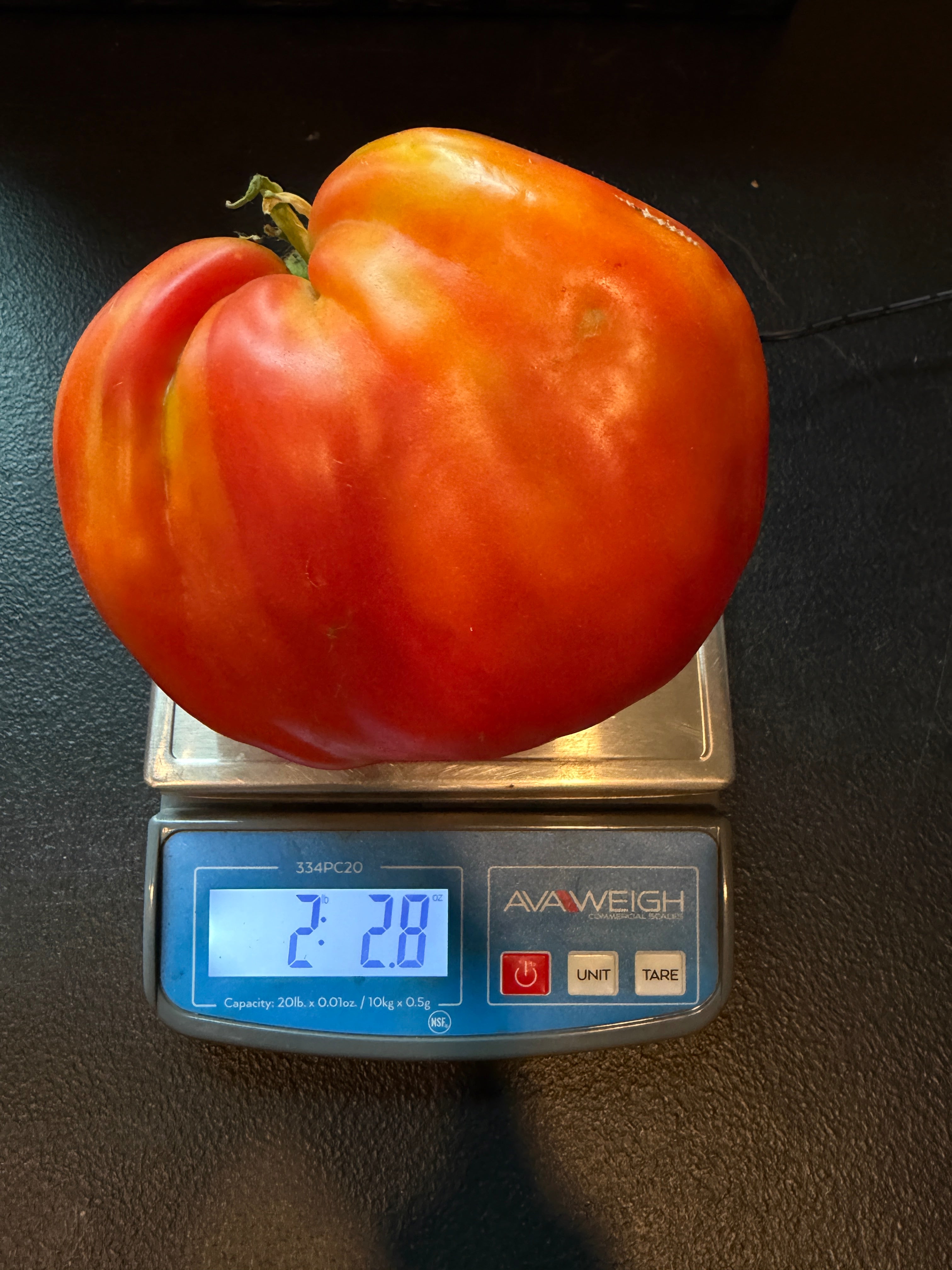 Goat's Bag, Tomato