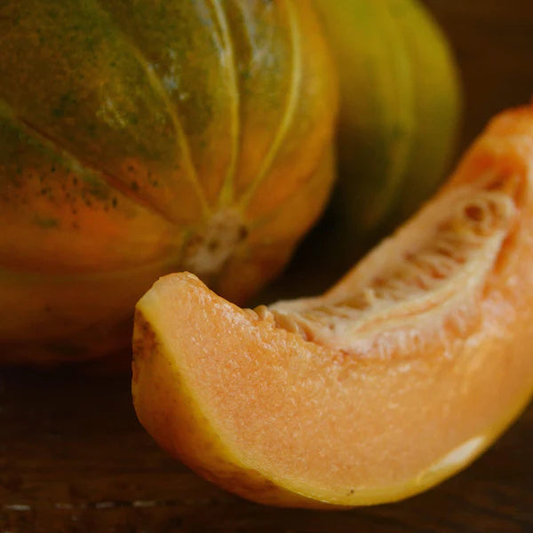 Noire de Carmes, Muskmelon