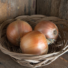 Clear Dawn, Onion