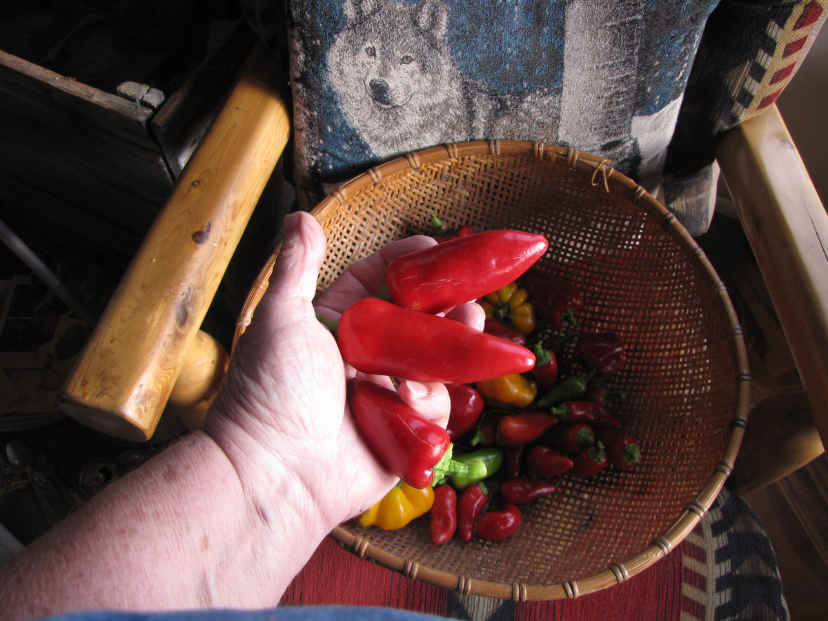 Fresno Hot, Pepper