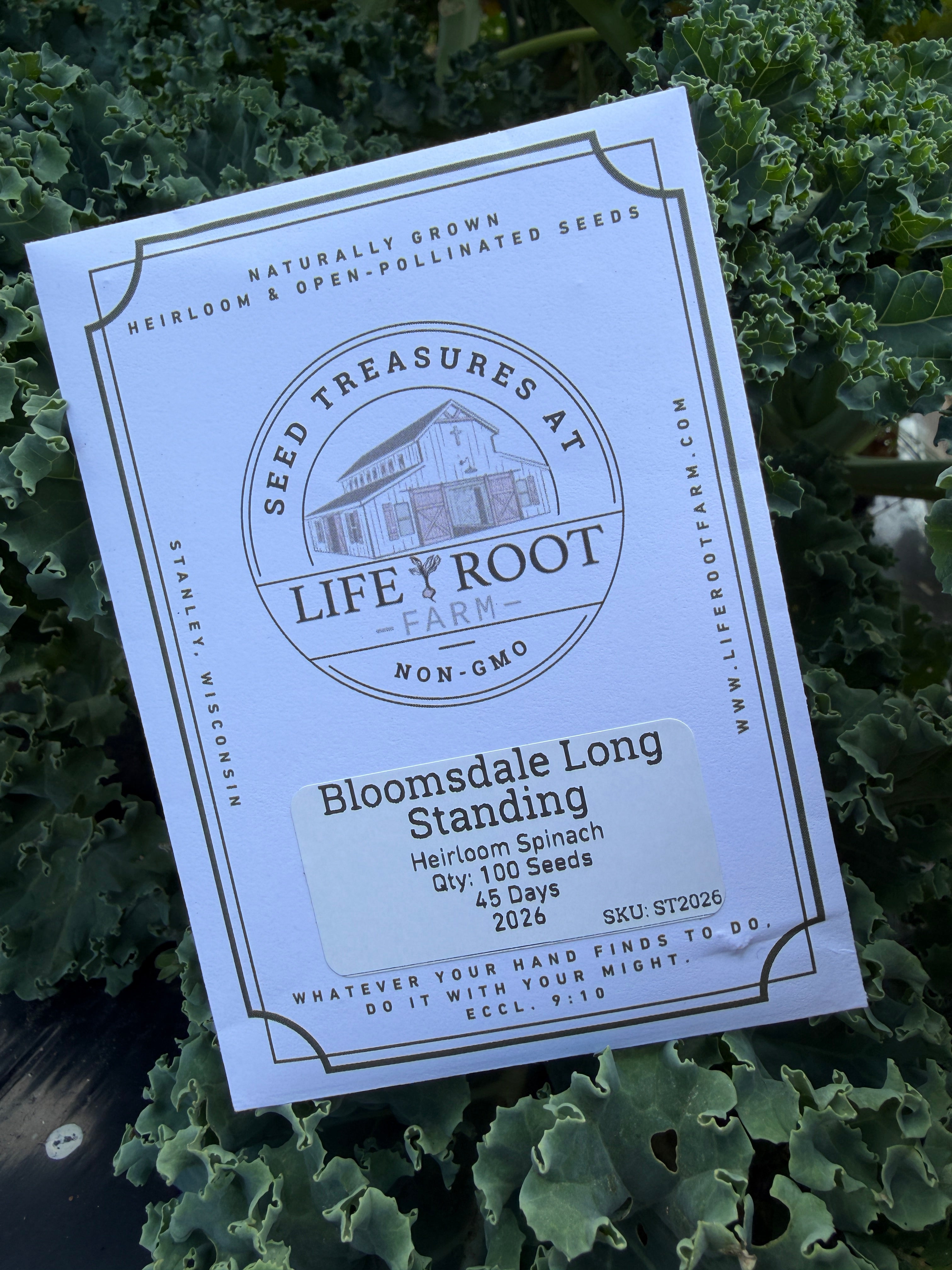 Bloomsdale Long Standing, Spinach