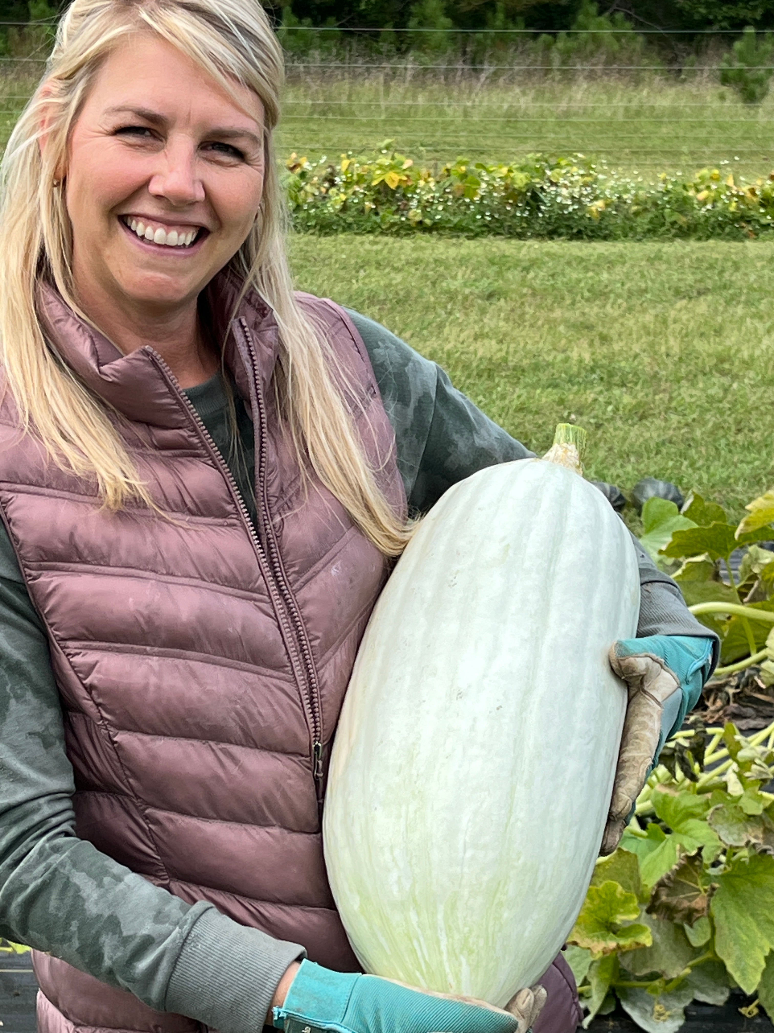 Hopi Pale Grey, Squash