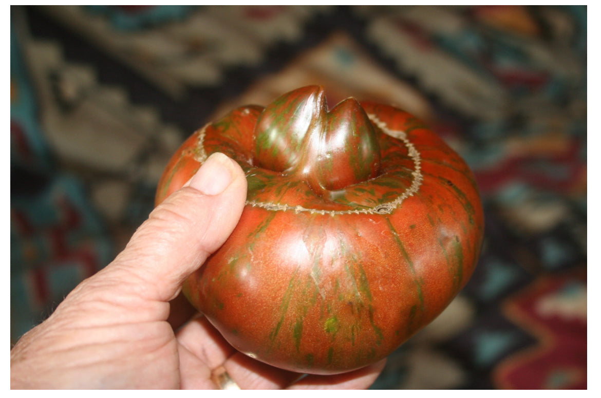 Girly Girl's Weird Thing, Tomato